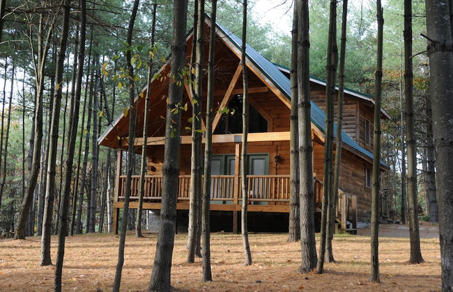 Cabins at Pine Haven - Foto 1
