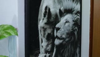 Apartamento confortável ideal para casais - Foto 5