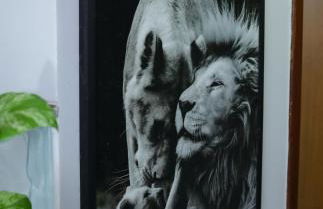 Apartamento aconchegante ideal para casais - Foto 16