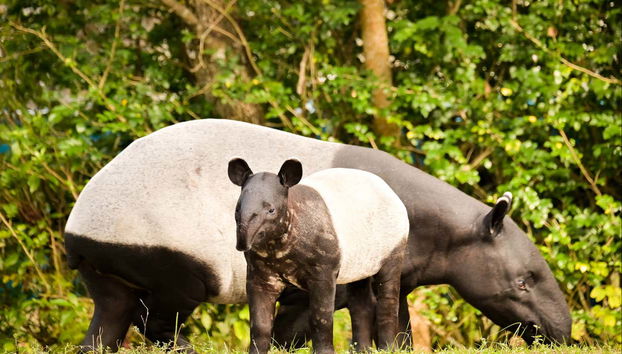 Zoo Miami Tickets - Photo 5, You'll love it!