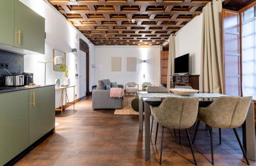 Limehome Vitoria Palacio de los Álava-Velasco - Foto 84