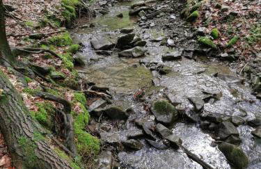 Mucharskie Stodoły Stodoła II - Garden Spa - Foto 30