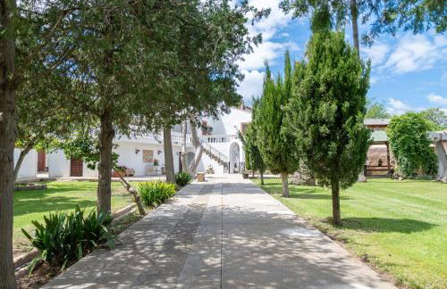 Moli dels Reis - Photo 39