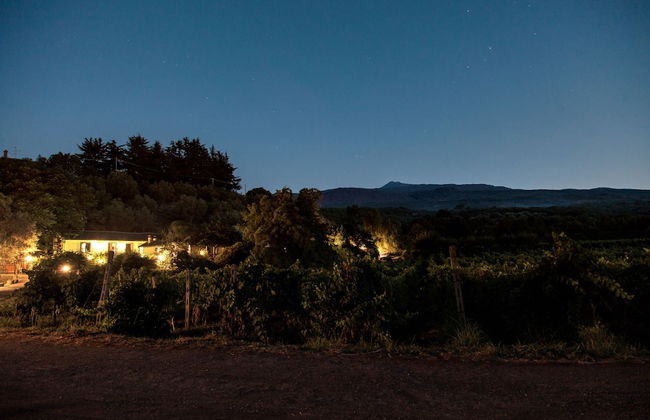 L'Antica Vigna - Photo 37