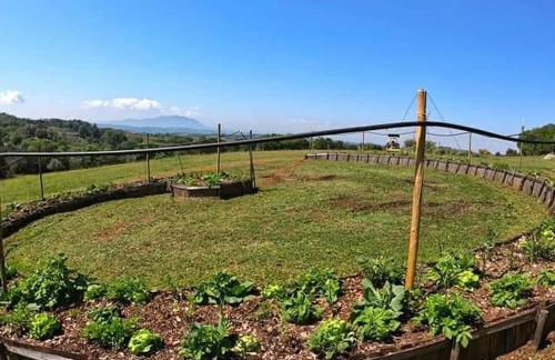 La casa del tartufo - Foto 13