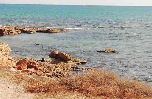 La casa dei fico d'india - Foto 17