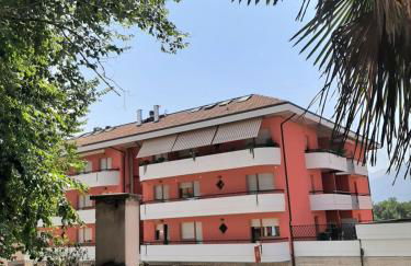 GUFO VERDE - Photo 36