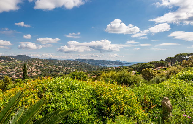 La Canopée - Foto 31