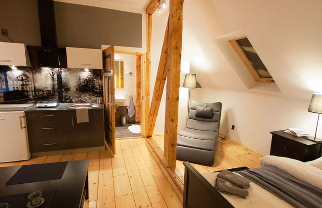 Apartment in Szczawno-Zdrój with garden - Photo 6