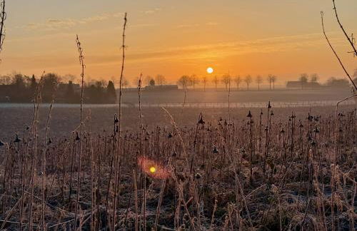 Boutique Home Bad Iburg - Foto 21