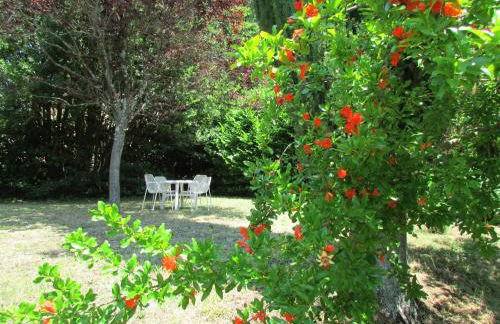 Agriturismo Dea - Photo 16