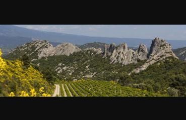 Le Gîte au calme d'Aubignan 4 personnes, 1 chambre - Foto 15