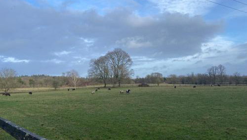 A charming cottage in a beautiful setting. - Foto 2