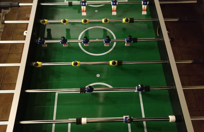 Castaño Real - Photo 11