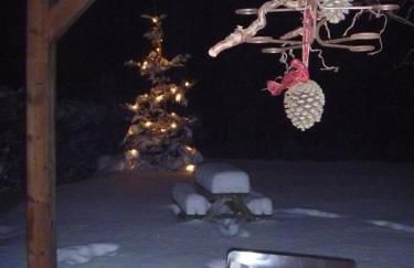 Ferienwohnung Rötzer - Foto 16