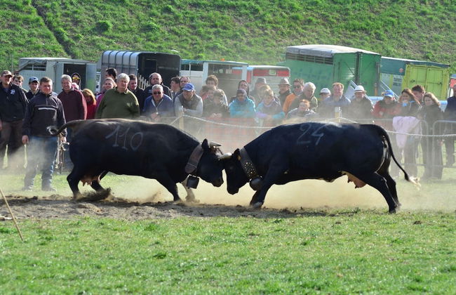 Chalet-village Situated in a Quiet Area - Foto 60