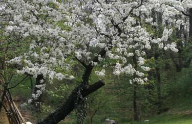 Agriturismo CasaMela - Foto 25