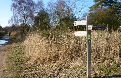 Skylark Cottage - Foto 21