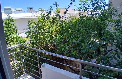 Dioni of Rhodes - Foto 18