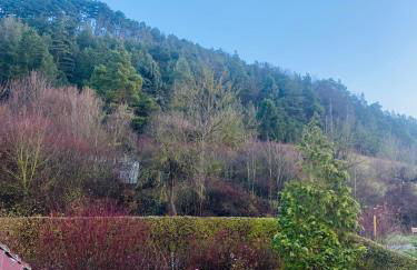 Ferienwohnung Am Steinberg - Foto 17