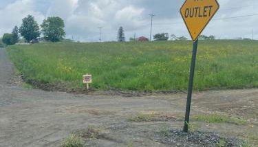 UndertheWillows by Towanda Sayre - Foto 2