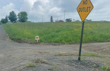 UndertheWillows by Towanda Sayre - Photo 2