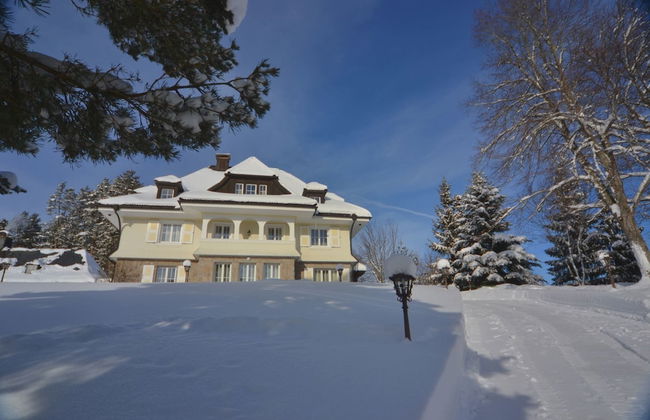 Villa Schwarzwald - Foto 28