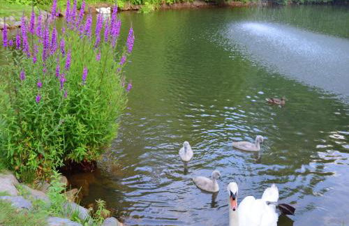 Gemutliche Tierfreundliche Wohnung in Huddingen - Foto 14
