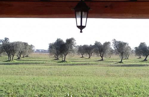 Agriturismo Le Chiare Stelle - Foto 34