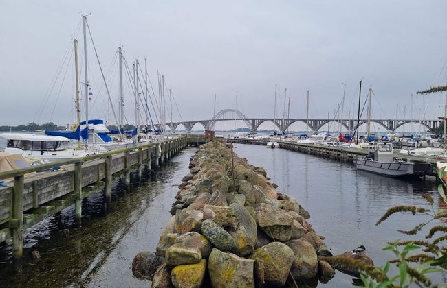 4 Star Holiday Home in Kalvehave - Foto 17