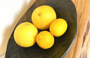 Villa Meliora - Foto 63