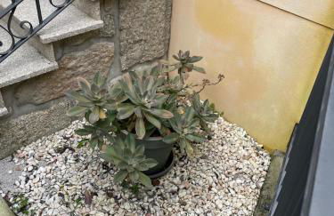 Cantinho da Estrela - Foto 49