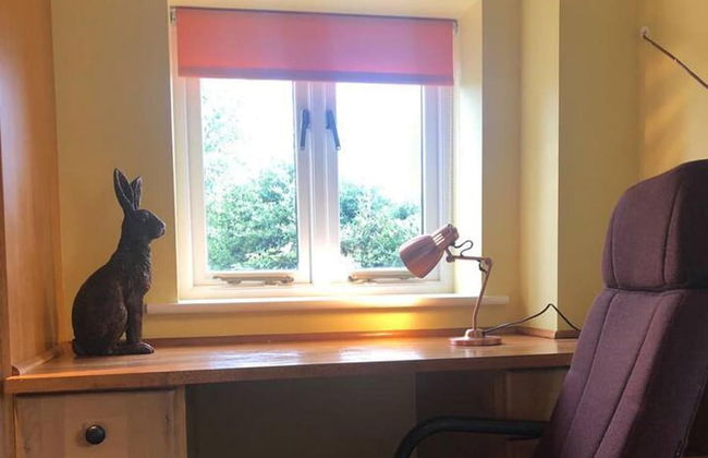 Sunshine Annex-double Bed,ensuite, Lounge, Kitchen - Foto 18