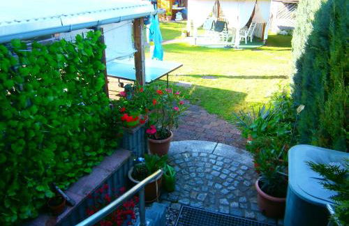 Der Frühe Vogel - Foto 18