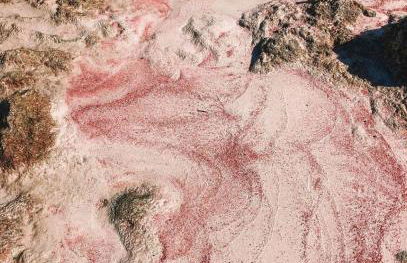 Ellafos Traditional Living-Elafonisi Couples Retreat - Foto 98