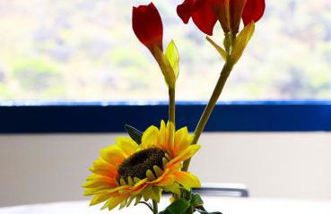 Lar do Biri Biri - Vila do Biri Biri/Diamantina MG - Foto 72