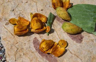 Valley View Studio Apartment Salakos - Foto 55