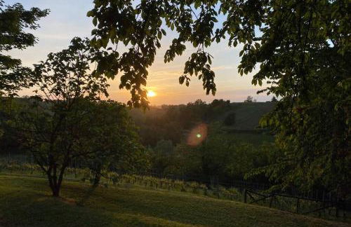 Casa intera tra le colline e le vigne del Dolcetto - Foto 50