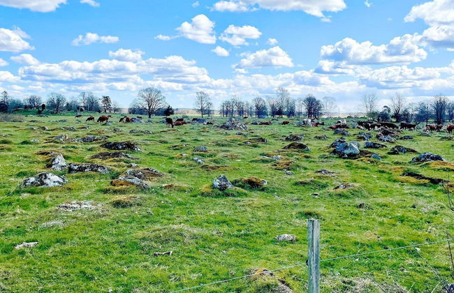 9 Person Holiday Home in Morlunda-by Traum - Foto 5