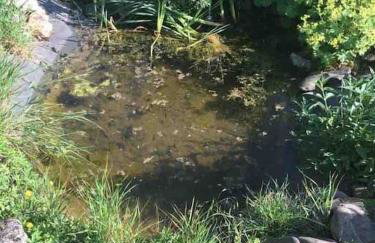 Charmante Bauernhofwohnung in Lautertal - Foto 24