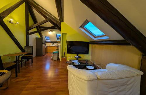 Grand Studio Climatisé en combles à 2 pas de la gare de NANCY - Foto 7