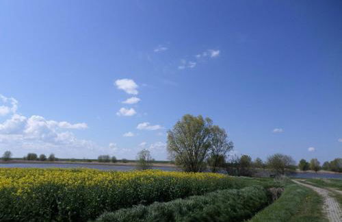 Haus Sonnenhof am Dollart 45240 - Foto 9