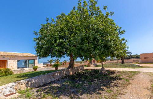 Finca Salom Verd - Foto 50