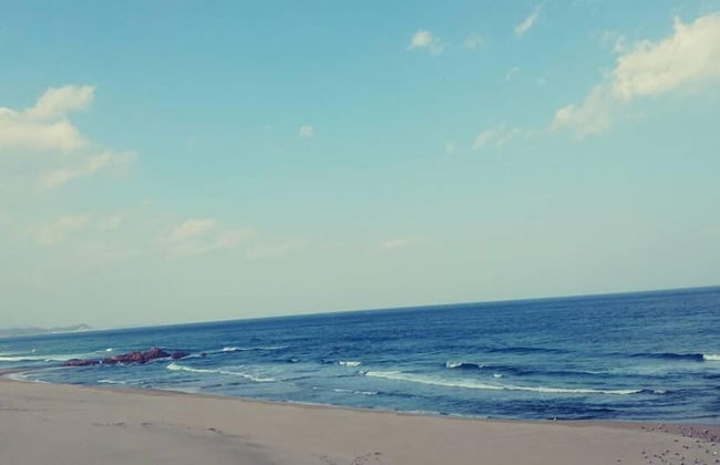 Elmar Condotel - Photo 68