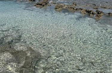 Casa de Praia - Village Praia dos Carneiros 1 - Foto 33