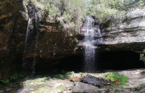 Anatiduero - Foto 24