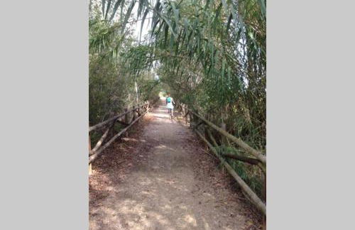 Lo Guaret. - Foto 45