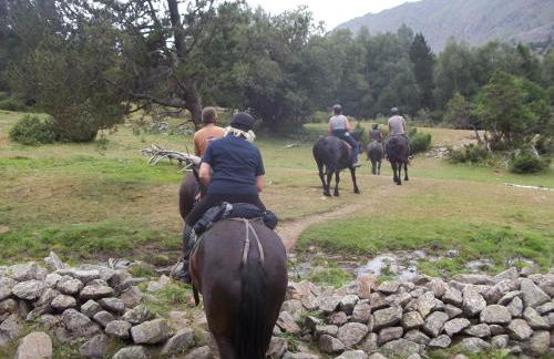 Les FEICHES et MARGUERITES - Foto 12