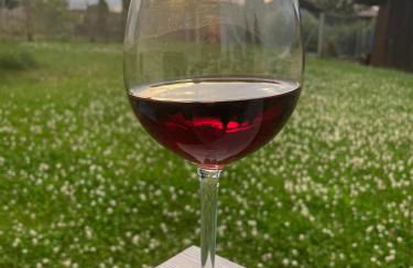 Ferienwohnung Sonnenplatzl - Foto 20