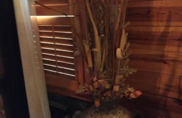 Cherokee mountain log cabin resort - Foto 138